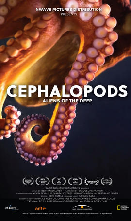 Cephalopods Aliens of the Deep now playing at the MG3D Theater