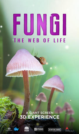 Fungi The Web of Life now playing at the MG3D Theater