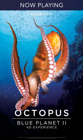 Octopus Blue Planet II now playing at the MG4D Theater