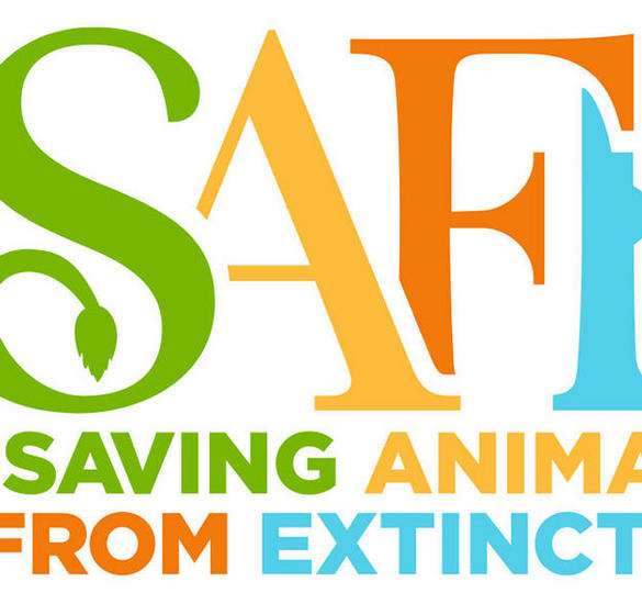 SAFE Logo