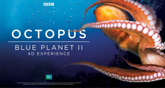 Octopus Blue Planet II 4D Experiene
