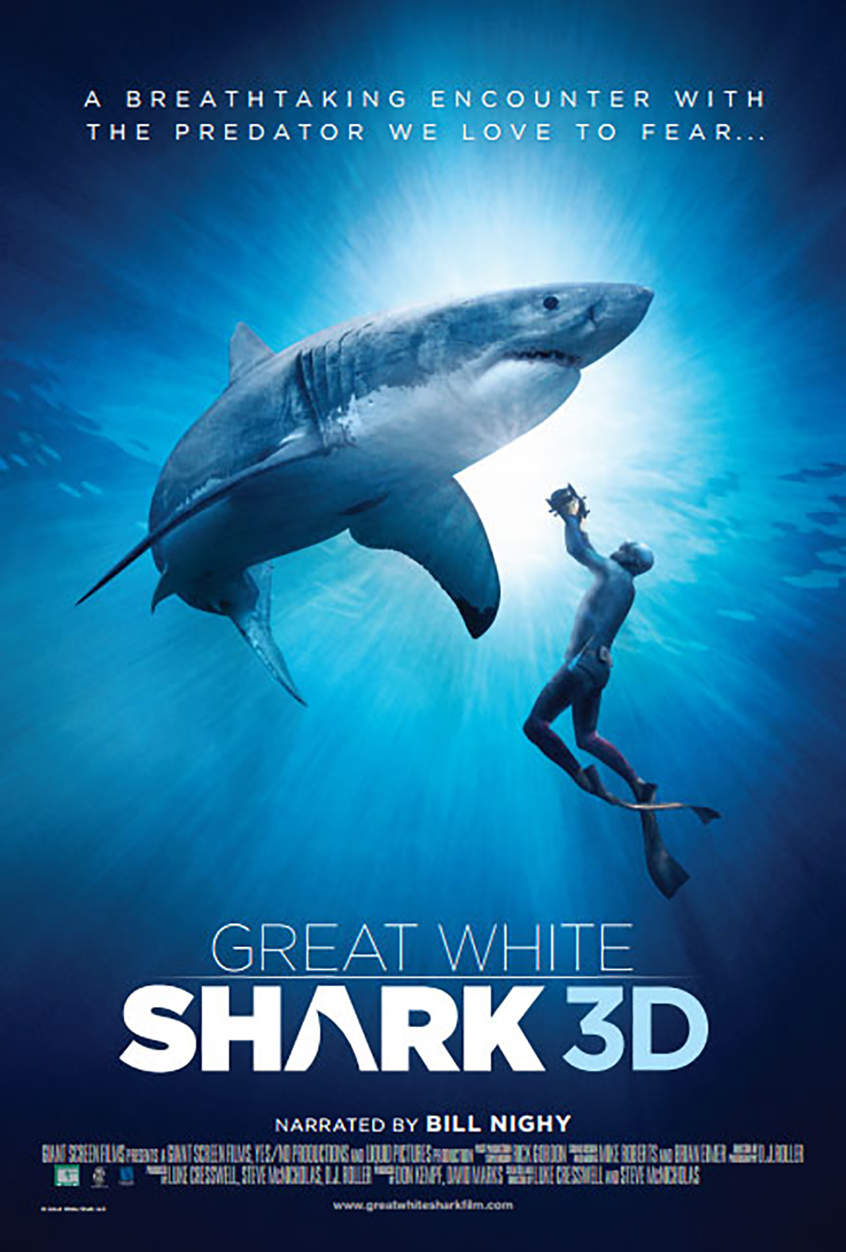 Great White Shark 3D