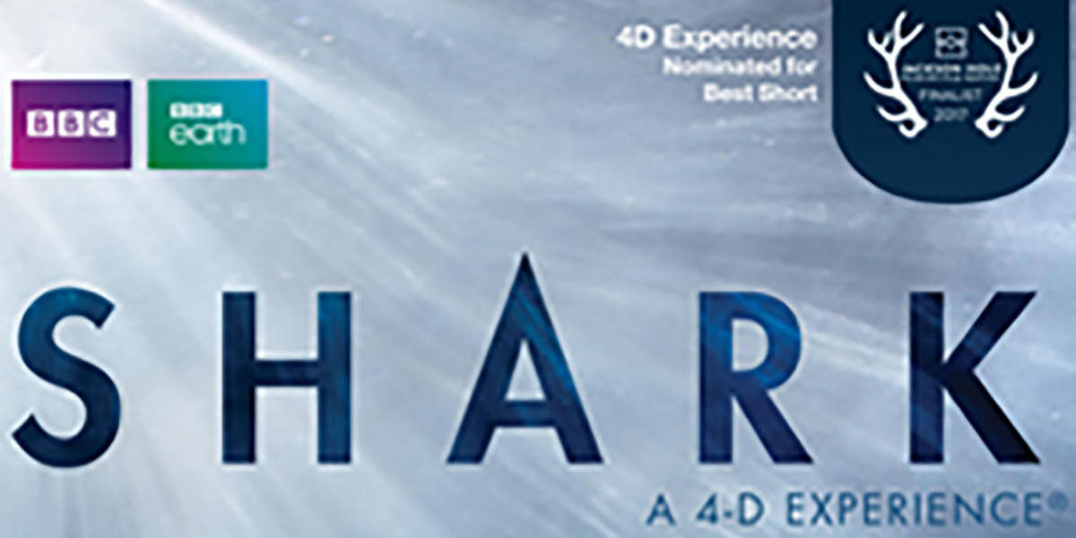 Shark: A 4D Experience