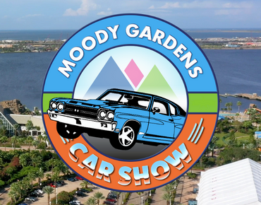 Moody Gardens Car Show