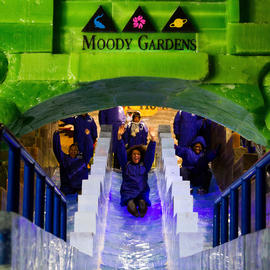 Ice Land Moody Gardens